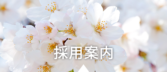 採用案内
