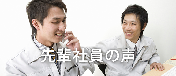 先輩社員の声